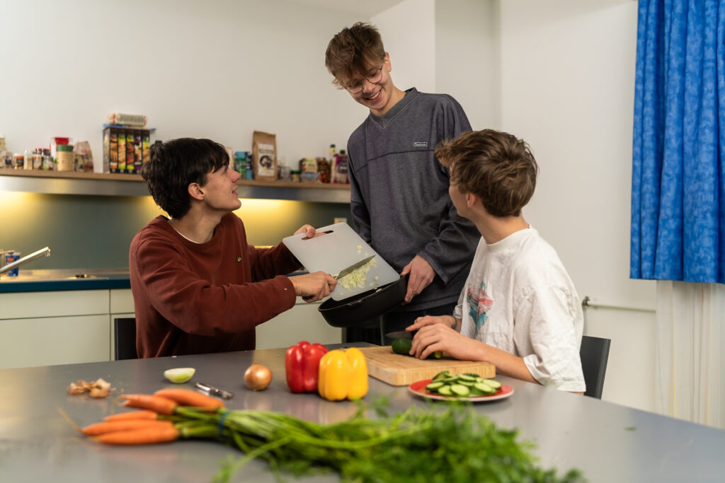 drei Jungen schneiden Gemüse, lächeln
